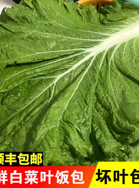 白菜叶饭包东北大白菜叶子新鲜蘸酱蔬菜大饭包打饭包菜叶顺丰包邮