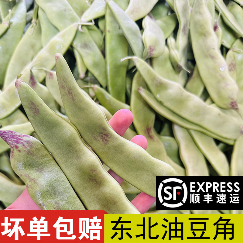 顺丰包邮新鲜东北油豆角