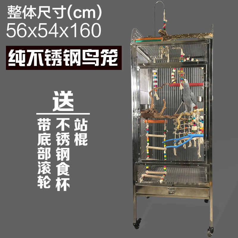 亚马逊豪华葵花折衷灰鹦鹉