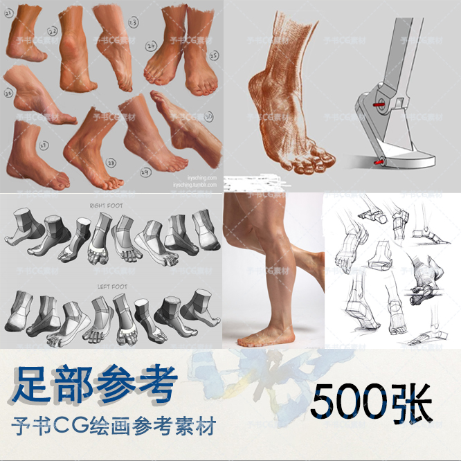 足部参考 艺用人体人物腿脚解剖结构线稿素描板绘画图片素材图片