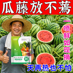 西瓜保鲜剂西瓜藤水果蔬菜专用防腐烂喷雾剂抗氧化无毒害防烂蔫