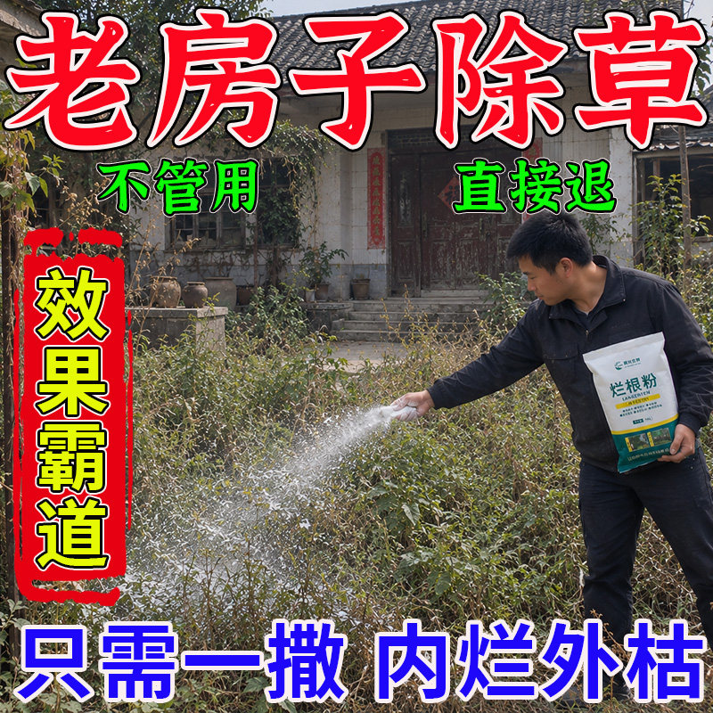 通用型根一扫光烂粉四季适用简单快捷直接撒腐燃腐蚀剂树强力