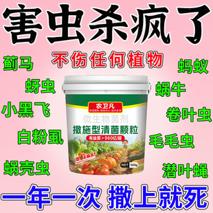 农科院研发撒施型清菌颗粒防虫药蔬菜地驱虫剂土壤除虫专用肥料