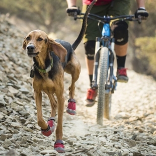 Grip Ruffwear Trex 狗狗鞋 子防滑耐磨户外透气耐磨靴子