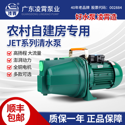 广东凌霄JET150家用自建房自吸泵