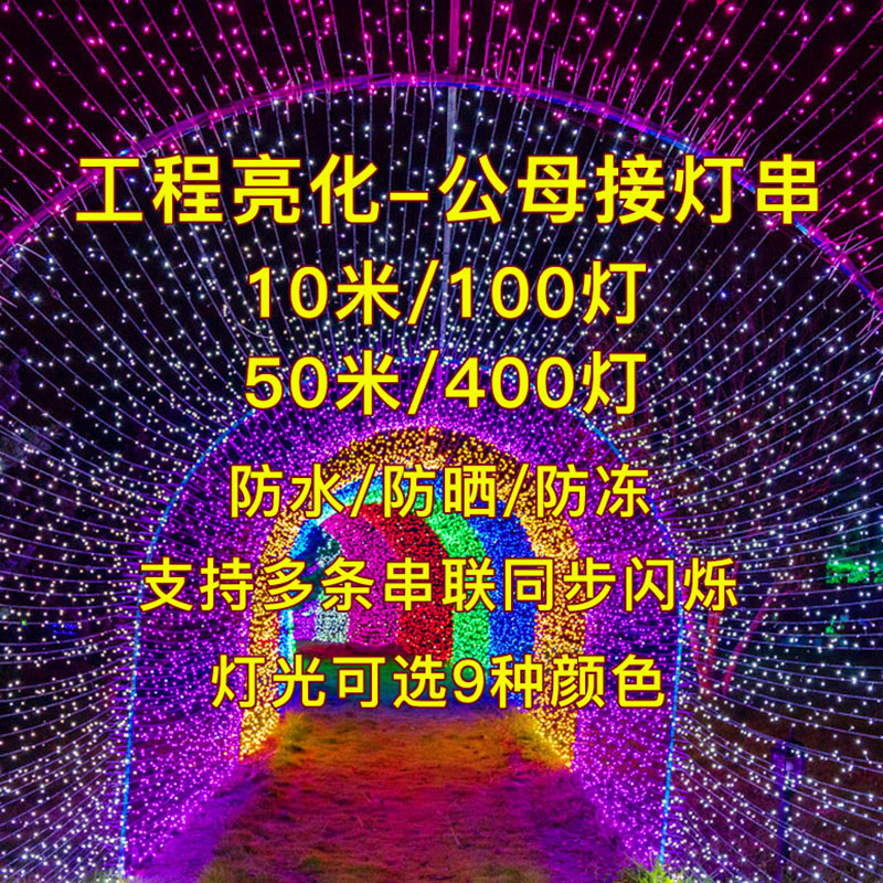 户外防水led小彩灯闪灯串灯满天星过新年装饰灯公母插灯串星星灯