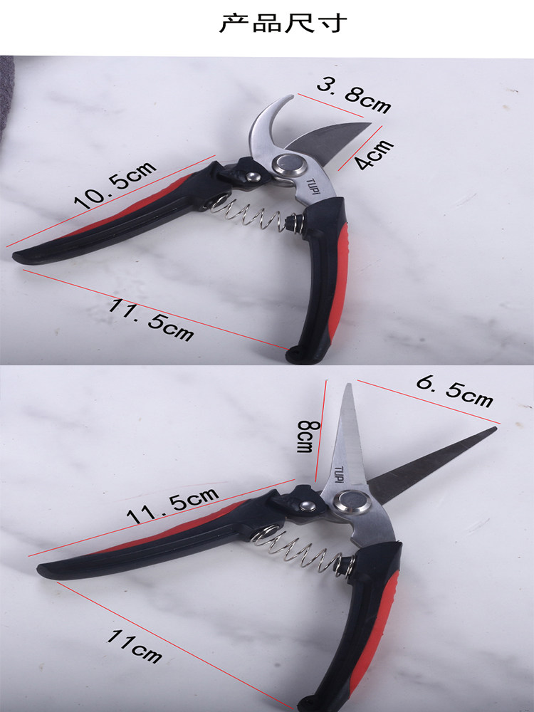독일 과일 나무 가지 치기 가위 스테인레스 스틸 가정용 원예 가위 리바운드 가지 치기 가위 가지 가위 꽃 가위
