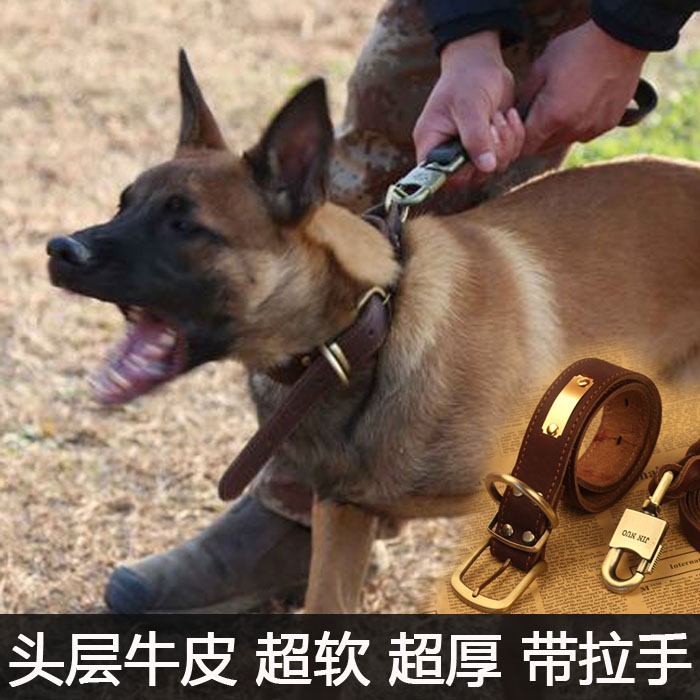 牛皮狗项圈狗脖套脖圈德牧马犬真皮皮质牵引绳大型犬宠物狗链子