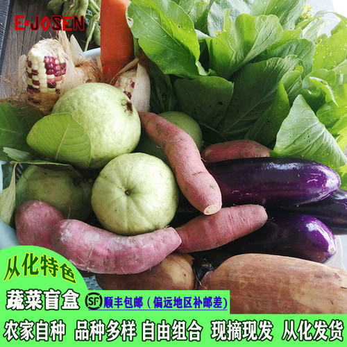 E-JOSEN农家菜拼箱蔬菜盲盒