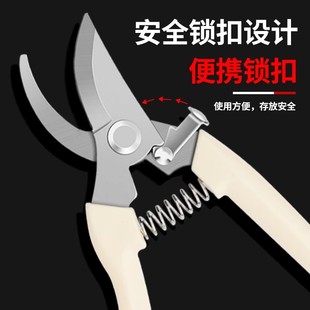 不锈钢树枝修枝剪采摘水果花木剪园林果树花卉枝嫁接园艺剪刀工具