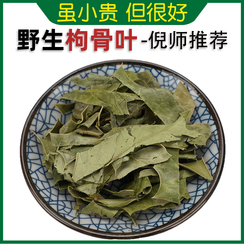 中药材野生枸骨叶500g虎儿刺十大功劳叶狗骨叶小叶枸骨茶老鼠刺