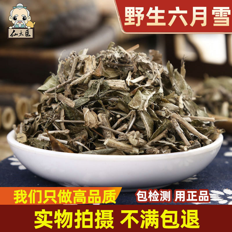 仙太医六月雪中药材500g野生白马骨满天星干货六月雪草药