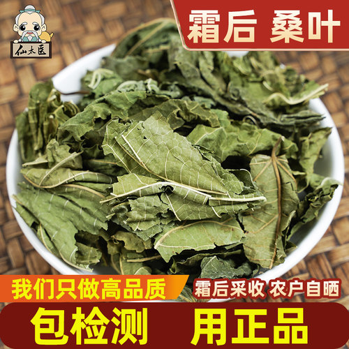 仙太医桑叶药材500克霜后采收