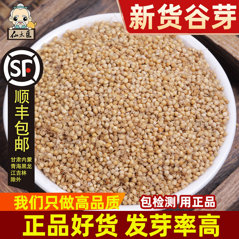 仙太医谷芽中药材500g新货