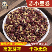 赤小豆芽中药材500克赤小豆卷干货发芽赤小豆晒干当归散药材
