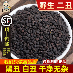 野生黑丑中药材500g黑牵牛二丑牵牛子可磨黑丑粉黑丑中药另售白丑