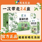 天太茉莉雪芽牛奶250ml 新日期 24盒学生早餐奶网红甜牛奶整箱