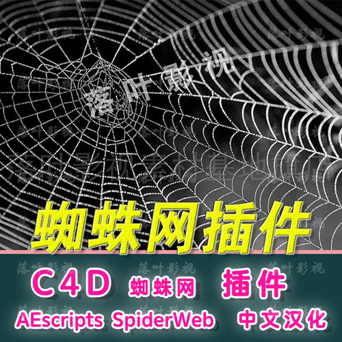 (21)  C4D蜘蛛网插件 AEscripts SpiderWeb  C4D蜘蛛网 中文汉化