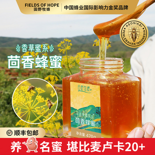 田野牧蜂新采茴香蜂蜜高原稀有珍贵本草蜜正宗天然成熟蜜滋补好蜜