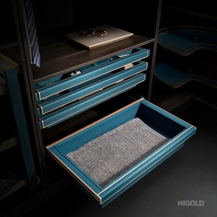 悍高葆碟BV系列浅皮篮时尚轻奢衣柜拉篮衣帽间收纳五金