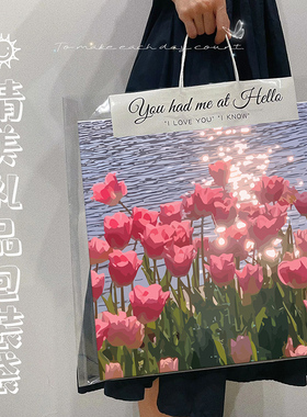 网红ins风透明数字油画礼品袋