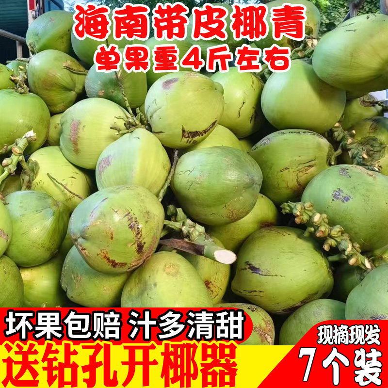 7个装椰青带皮海南椰子新鲜当季热带孕妇水果鸡汤配料椰汁嫩椰肉