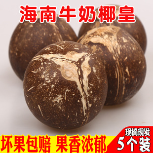 5个装 水果老椰子去皮抛光黑椰青椰肉煲汤宝 海南牛奶椰皇新鲜当季