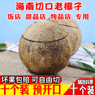 10个装海南老椰子新鲜预开口毛椰开盖切口炖盅炖鸡汤椰子碗甜品冻
