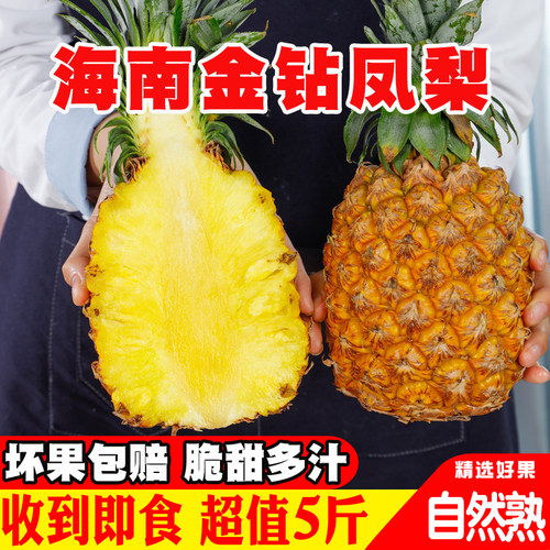 5斤海南金钻凤梨正宗特产水果手撕香水凤梨树上熟台农17号非菠萝