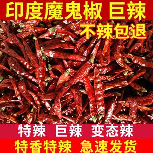 印度椒魔鬼椒s17中粗 皮特辣超辣辣椒面香辣红干辣椒段福建辣椒王
