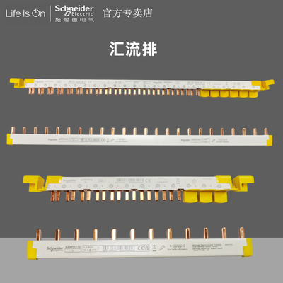 施耐德1P12位24位汇流排DPN铜排