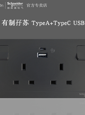 施耐德奂尚陨石墨灰黑色双13A带开关英港式标TypeC+USB插座深空灰