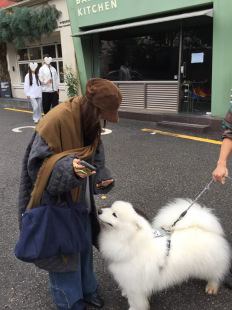 宽松菱格纹大版 羊毛天丝棉服外套中长款 文艺风 秋冬新款 Lott