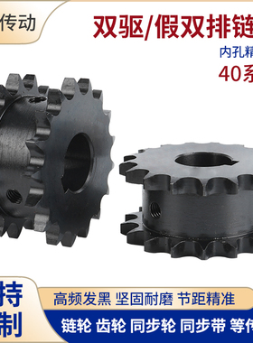 40系列链轮双排链轮 VLR01-12齿-VLR01-21齿定作齿轮链条SP40SD