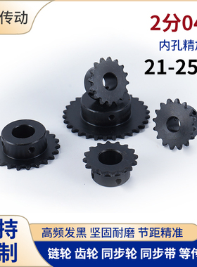 2分04C21 22 23 24 25T链轮25H链条SP25B12内孔8 10 12 14 151617