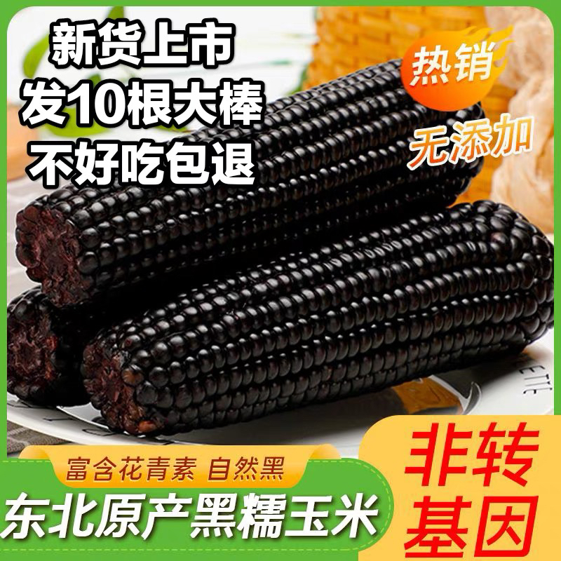 东北黑糯玉米棒新鲜甜糯黑玉米真空非转基因头茬黏糯玉米当季新品