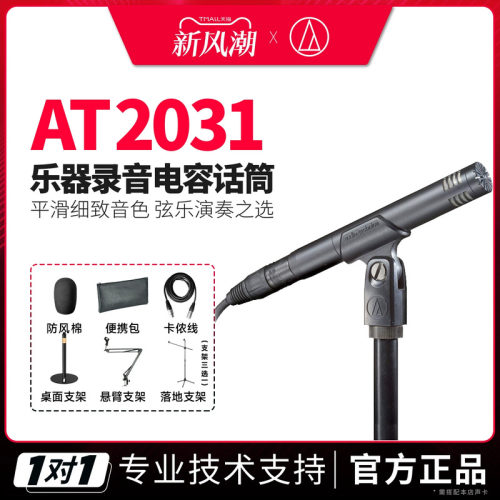 铁三角AT2031乐器录音电容话筒