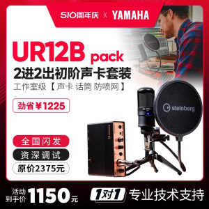 Steinberg/YAMAHA雅马哈声卡套装 UR12B专业有声书直播配录音设备