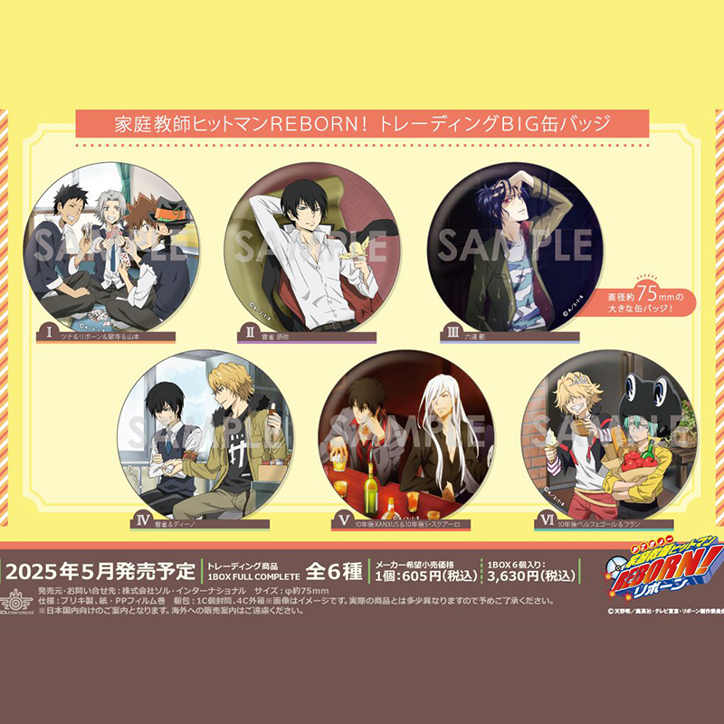 现货 日本 SOL 家庭教师  休息 放松 BIG大吧唧徽章 周边75mm