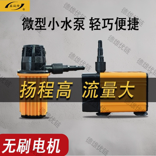 鑫诚锋工业级无刷动力微型水泵无刷电机防水防漏电小水泵超高扬程