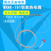 Wrnk-191 / K / E / J armored thermocouple high temperature probe probe thermal resistance temperature sensor can be bent