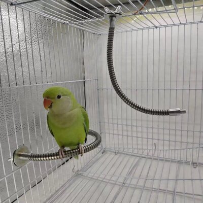 鹦鹉站杆不锈钢可随意弯折不锈钢耐啃咬易清洁鸟笼内栖息玩具