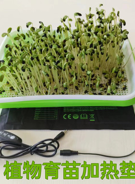 现货 USB三档调温宠物加热垫爬虫植物育苗加热垫户外加热片3318
