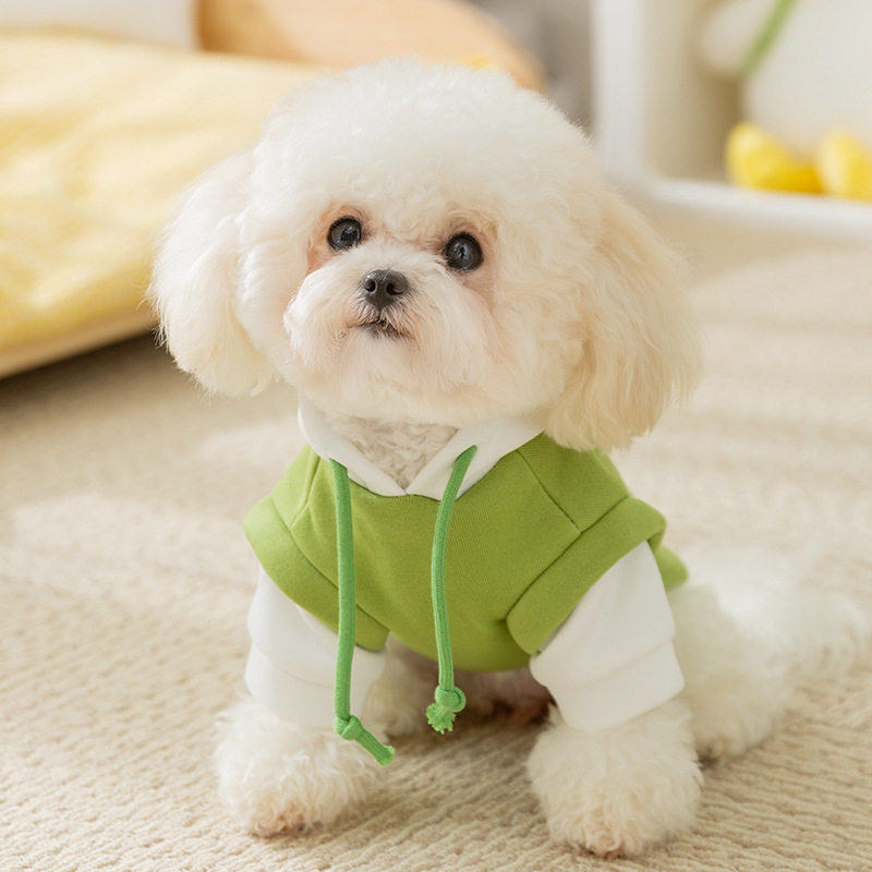 小狗狗衣服新款潮酷风连