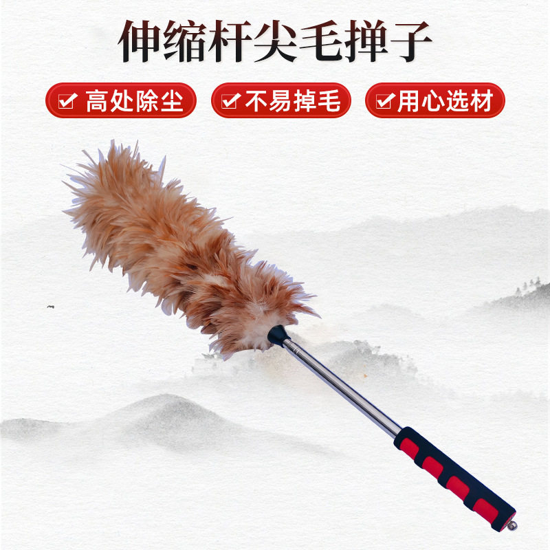 伸缩杆柄尖毛家用经济实