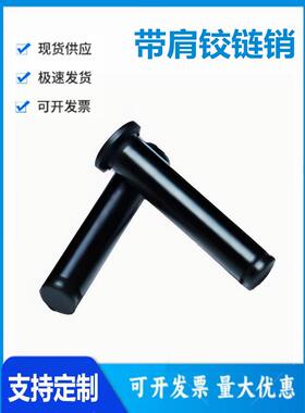 HCDG/HCCG5/6/8/10/12-10/15/16/18/22/25/30/35/40/45带肩铰炼销