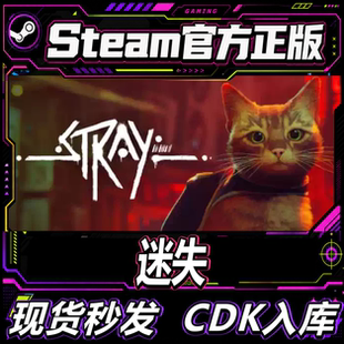 Steam正版CDK国区 迷失 Stray  激活码直接入库 pc游戏