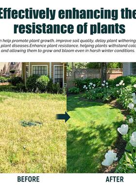 Yegbong Plant nutrients Flower garden green leaves growing l