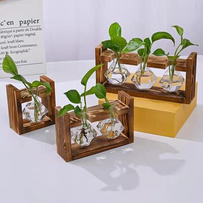 Ideal wood rack water-breeding little vases in ins green pla
