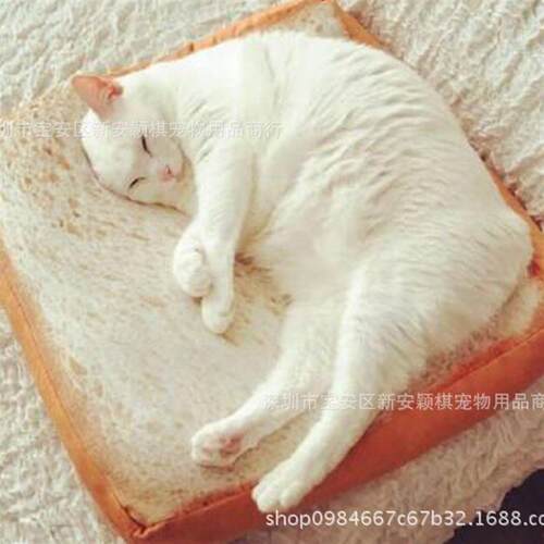 Its like a toast-washing cat-cat-mat cat-bed dog-bed pet sl